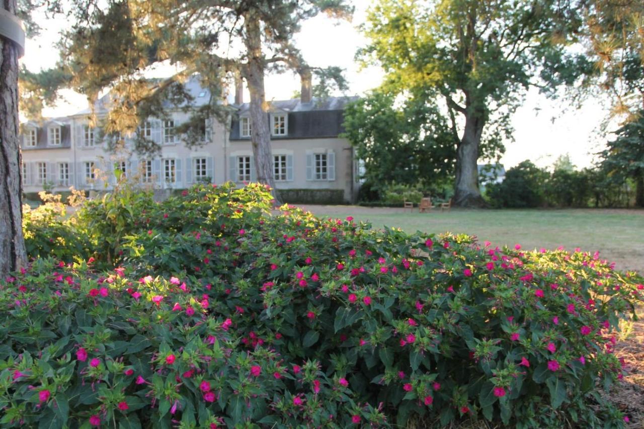 Colivault Bed & Breakfast Cande-sur-Beuvron Luaran gambar